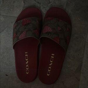 Coach Red Strawberry Slides